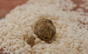 What was left of him in his nest of arborio rice.