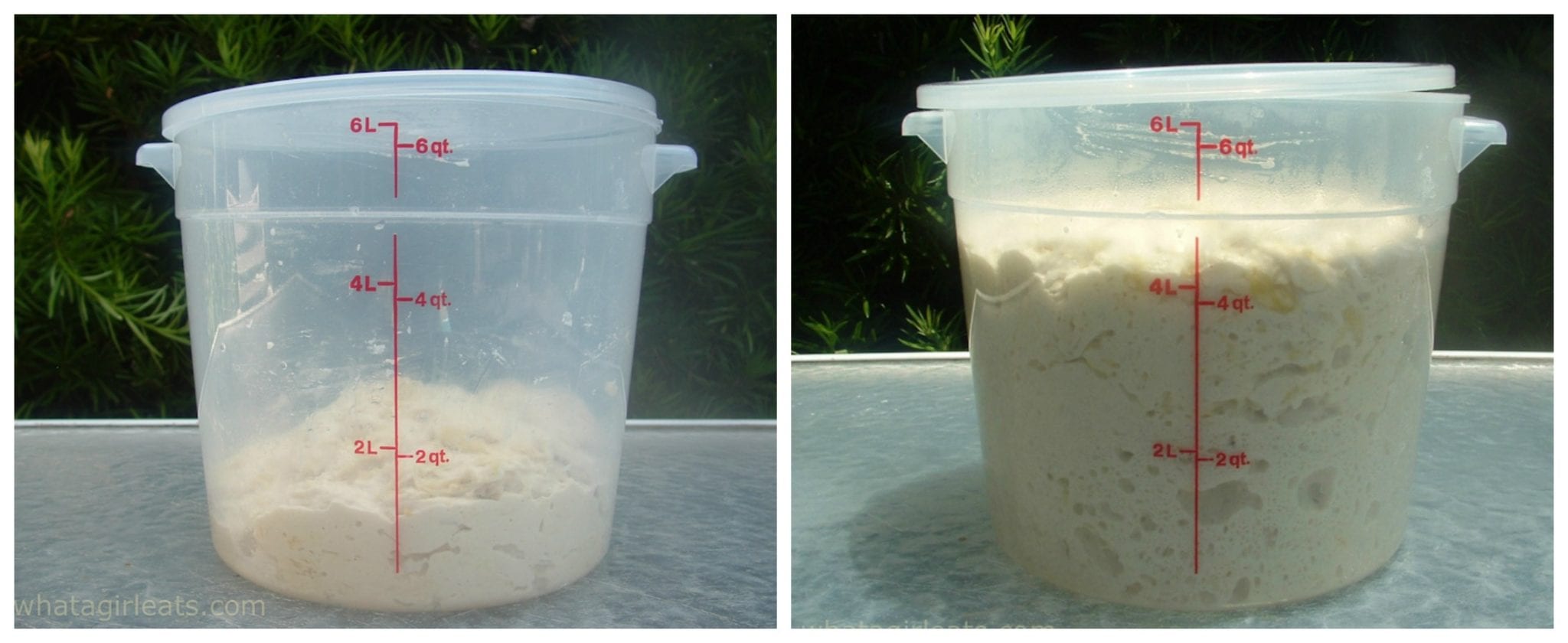 Pizza dough before and after rising pictures in a bucket