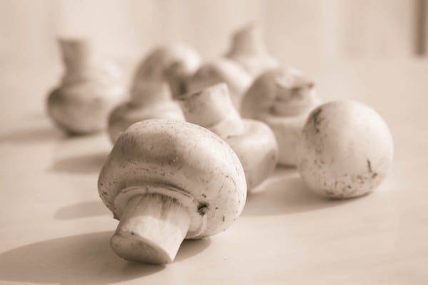 earthy mushrooms