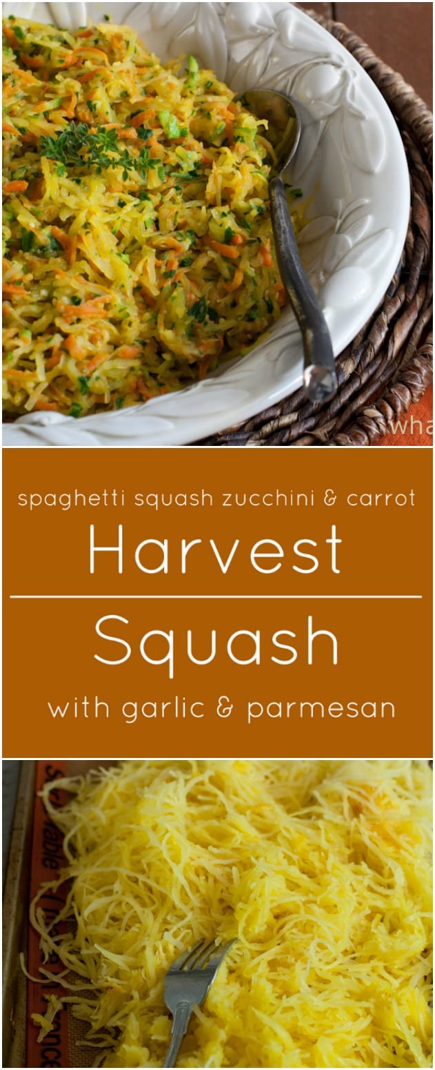 Harvest Squash is a colorful blend of spaghetti squash, zucchini and carrots with lots of garlic, parmesan and fresh herbs. It's also gluten free!