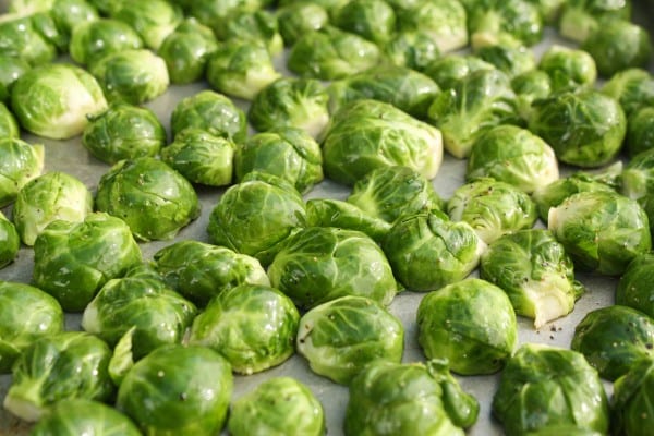 Brussels sprouts, coated in olive oil and ready to become roasted Brussels sprouts