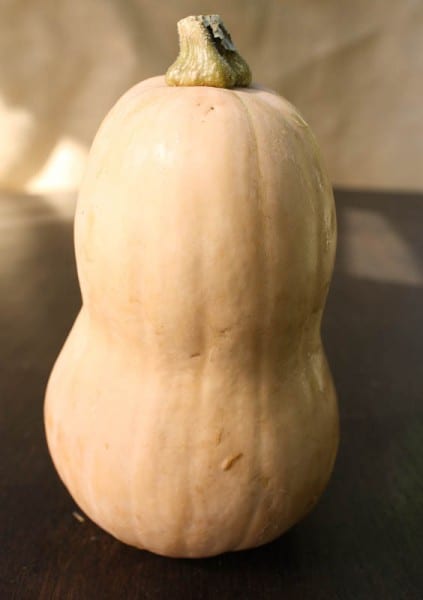Butternut squash.