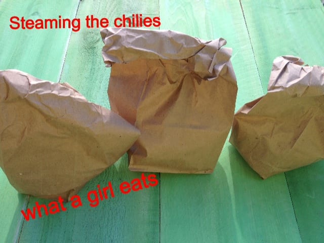 chiles in paper bag