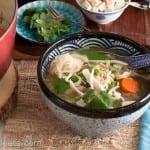 Singapore Hot Pot is loaded with fresh vegetables, shirataki noodles and tofu.