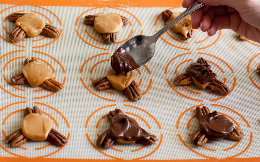  Turtles with chocolate.