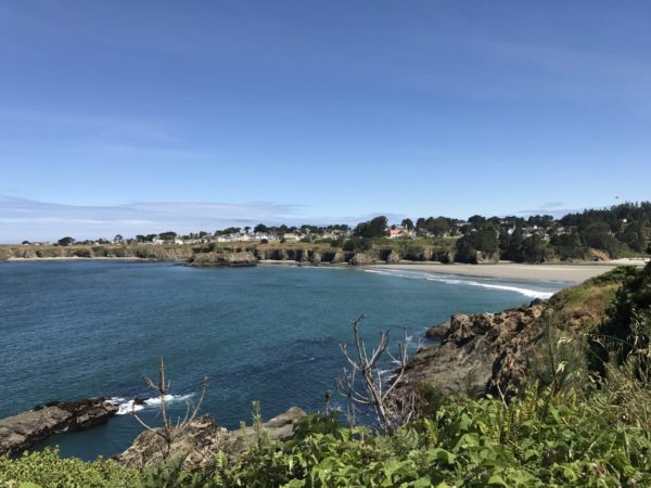 View across the cove to Mendocino atop the bluff. (Photo What A Girl Eats)