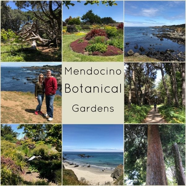 Mendocino botanical gardens