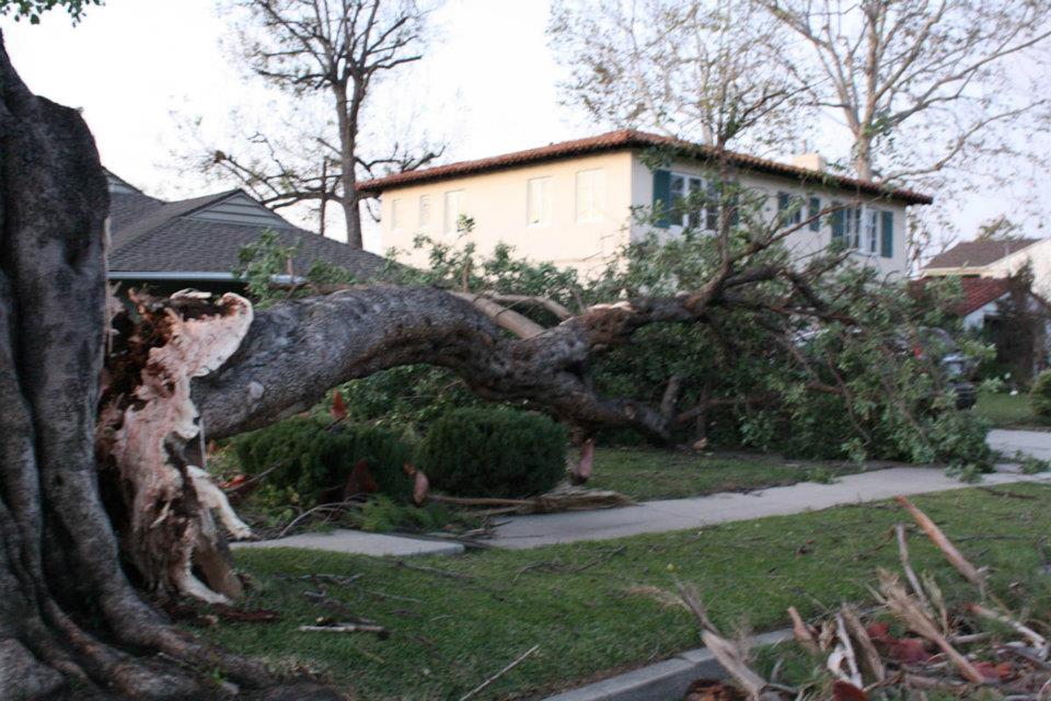 Pasadena windstorm