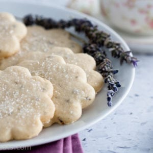 lavender shortbread cookies.