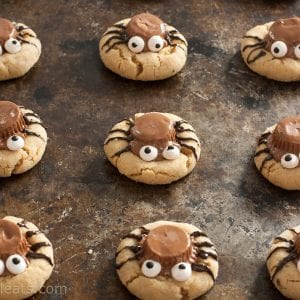 Spider cookies on cookie sheet.