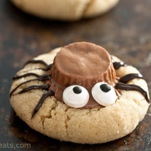 single spider cookie