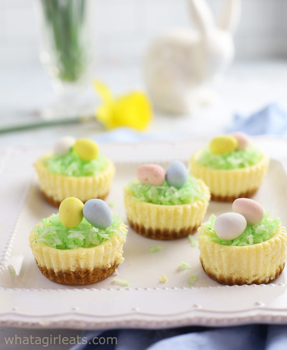 Cheesecake Bites - What A Girl Eats