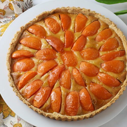apricot tart top shot on white plate.