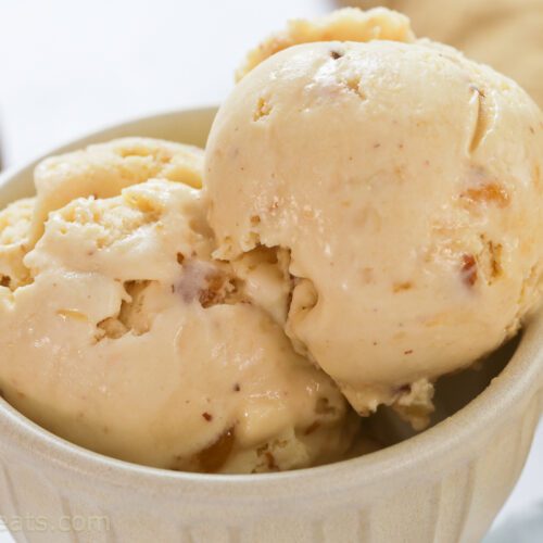 hazelnut ice cream in cream bowl.