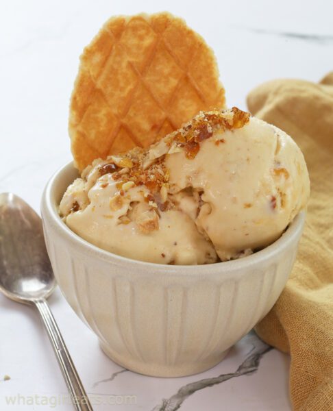 hazelnut ice cream vertical with waffle cookie.