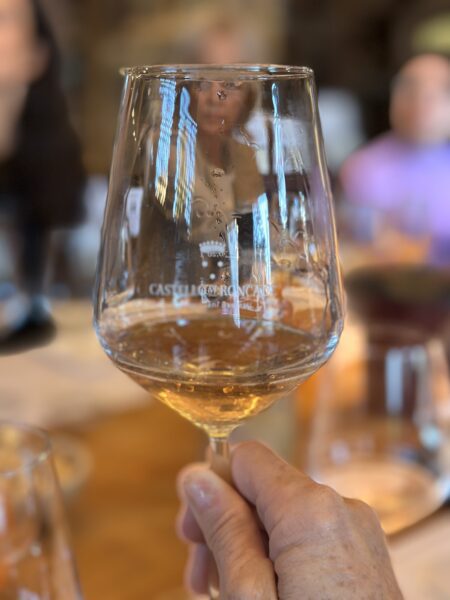 glass of wine from roncade.