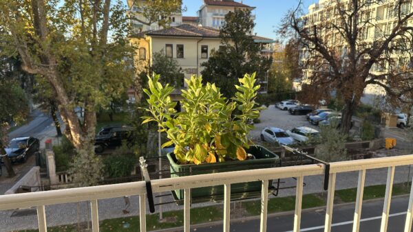 view from B&B Treviso hotel.