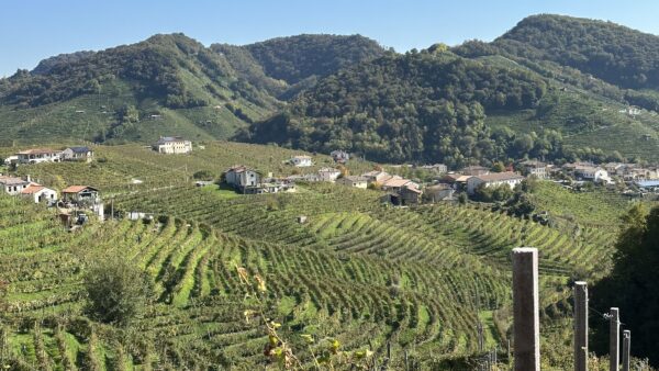 valdobbiadinone view in veneto wine country.