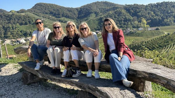 view of veneto wine country and valdobbiadene.