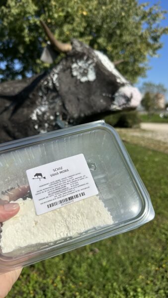 fresh cheese from vaka mora.