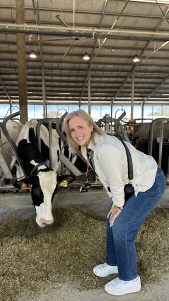 me at vaka mora with cow.