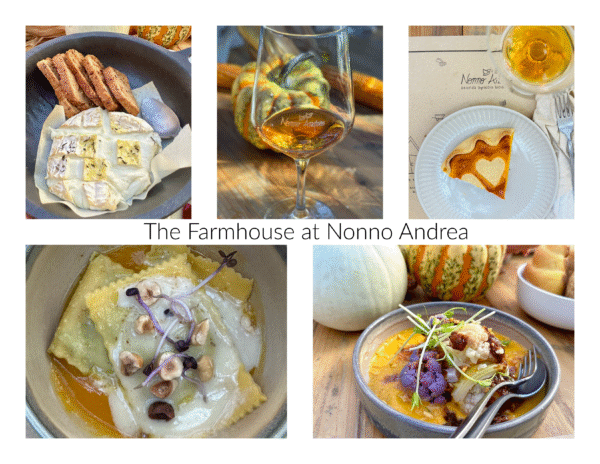 nonno adrea collage.