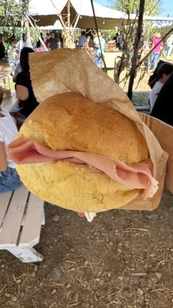 nonno adreas sandwich.