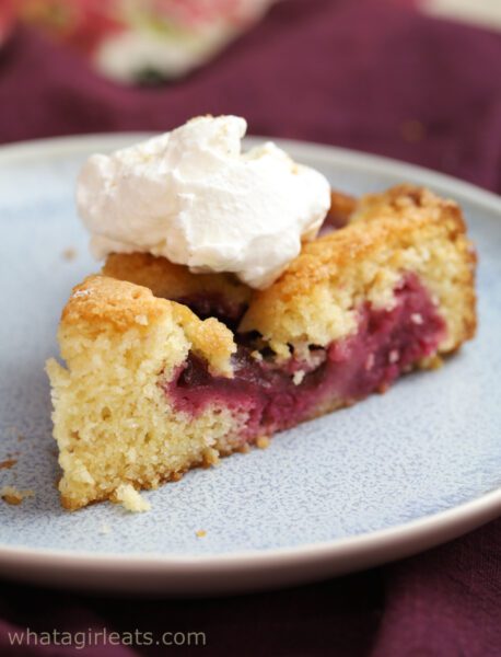 Vertical shot of plum cake.