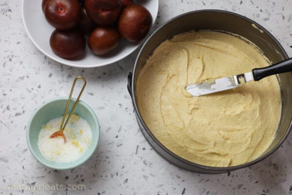 spreading batter into pan spreading batter into pan.