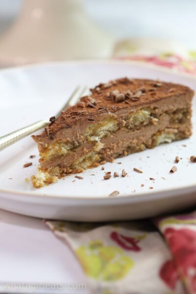 vertical hero tiramius 5 vertical shot of chocolate tiramisu.